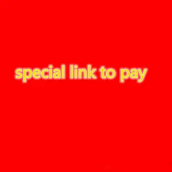 Линк за плащане LJJA само за специфични плащане Изключителна връзка за 100 9 3/4 билет